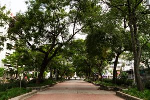 Bairros planejados com soluções de paisagismo verde