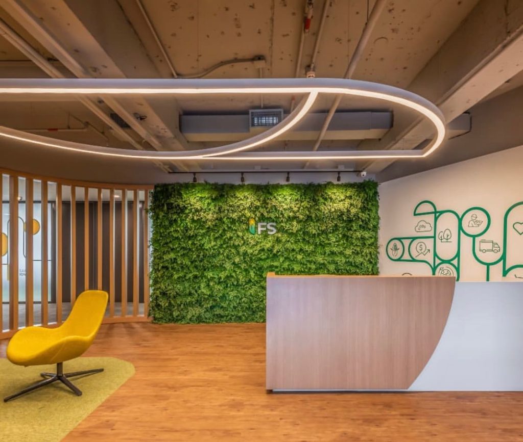 Benefícios dos jardins verticais preservados
