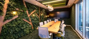 Jardim Vertical Corporativo Preservado - Benefícios e Cuidados
