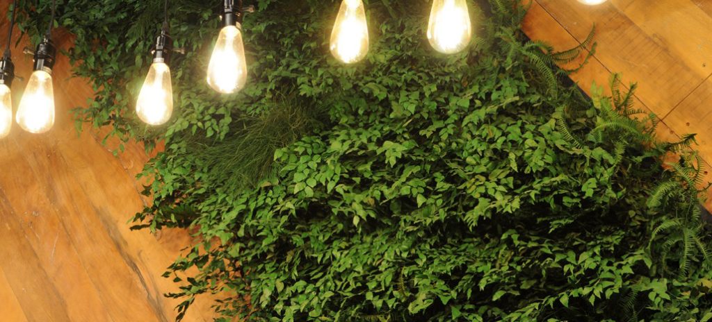 O que são jardins verticais preservados?