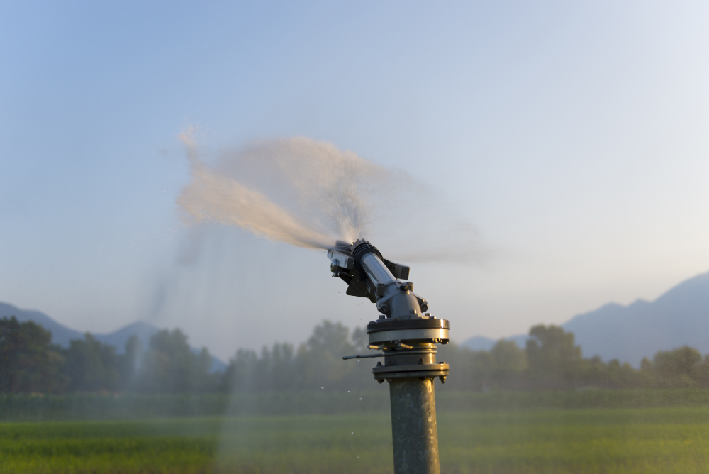 Tecnologia na jardinagem – Irrigação automática
