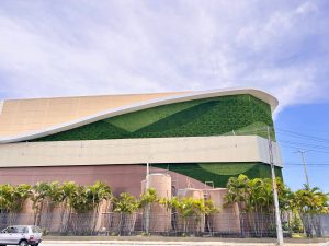 Jardim Vertical Externo — Como Implementar Soluções Verdes